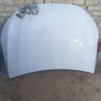کاپووت تارا شرکتی