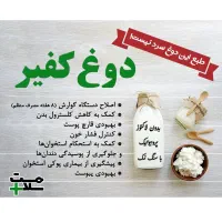 دوغ کفیر پروبیوتیک