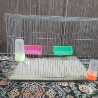 قفس پرنده