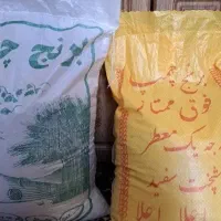 برنج محلی