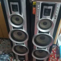 ضبط