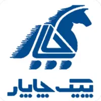 ماشین سواری و وانت /پیک موتوری/ خانم آقا