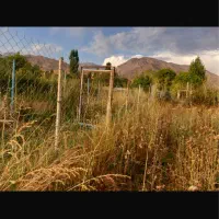 فروش-زمین-زراعی-سند-دار