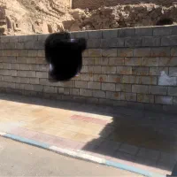 فروش ملک تجاری مزایده