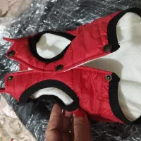 وسایل پت ( سگ خونگی)