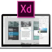 گرافیست و طراح ui وبسایت در adobe xd یا figma خانم