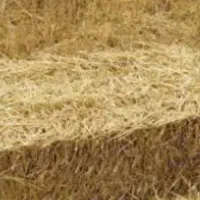 جو فروشی