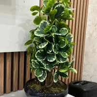 گلدان مصنوعی