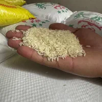 برنج‌ فجر و چمپا قیمت 133