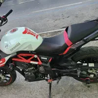 بنلی 310