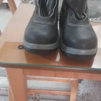 کفش کارنوسایز۴۱