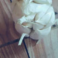سیر