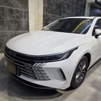 BYD 2025