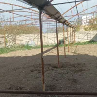 اسکلت گل خانه ای