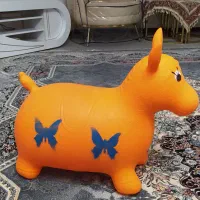 گاو بپر بپر ، جنس خارجی