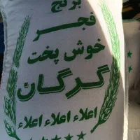 برنج طارم گرگان،فجر گرگان با ضمانت