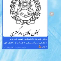 وکیل پایه یک دادگستری. با سابقه قضایی