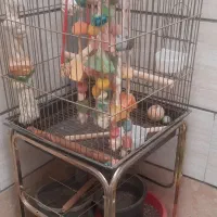 قفس بزرگ با پایه