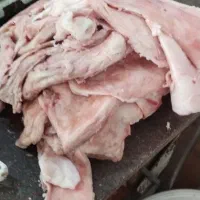 چربی گوسفندی تازه (پشت راسته)