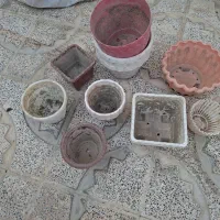 گلدان