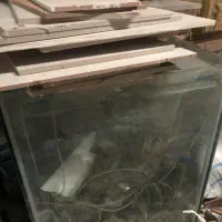 اکواریوم