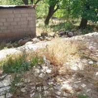 خانه-و-باغ