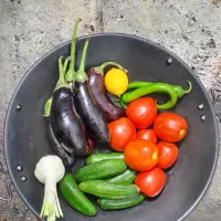 تور یک و دو روزه کمپینگ