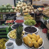انواع میوه تره بار صیفی جات همراه ارسال
