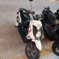 سافاری نامی