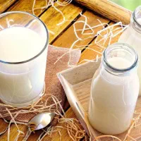 فروش و خرید شیر تازه گاو و گاومیش تازه