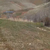 فروش زمین  کشاورزی