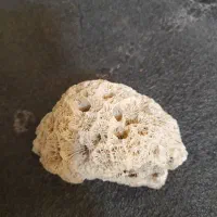 سنگ زیبا و قیمتی