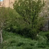 فروش زمین دهبکری (محله دشتعلی)