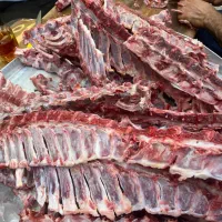 اسکلت و استخوان  راسته گوسفند