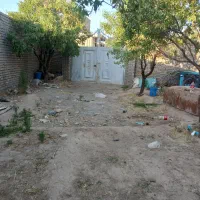 باغ فروشی