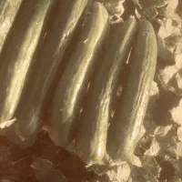به یک نفر خانوم جهت چیدن خیار نیازمندم