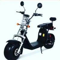 موتور سیکلت بیگ هارلی BIG HARLI دو نفره ۳۰۰ وات