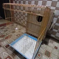 قفس و لونه برای ملنگو و ...