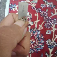 فلش|فیلم و موسیقی|یزد, |دیوار