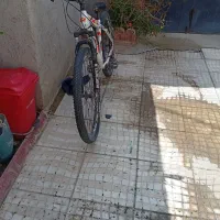دوچرخه|دوچرخه، اسکیت، اسکوتر|عجب شیر, |دیوار