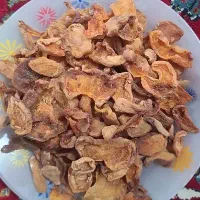 برگ زردآلو