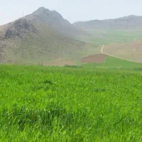 زمین ویلا باغ شهری آب‌پرده. مجموعه نور.سپاه