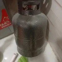پیکنیک بزرگ نو