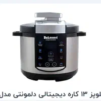 زودپز و پلوپز ۱۳ کاره دلمونتی