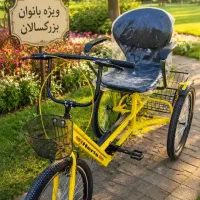 سه چرخه شیک
