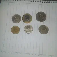 چند عددسکه فروشی دونه ۷۵تمومان