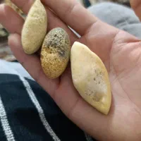 مهره