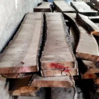 فروش چوب گردو