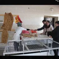 نانوایی بربری