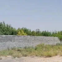 زمین-چاهکوتاه-بوشهر